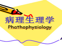 病理生理学（共20套打包）