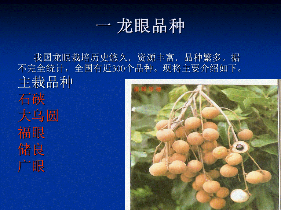龙眼丰产栽培技术.ppt_第3页