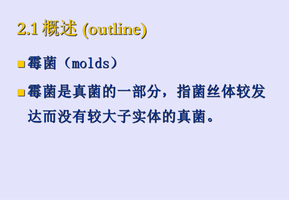 霉菌与霉菌毒素对食品.ppt_第2页